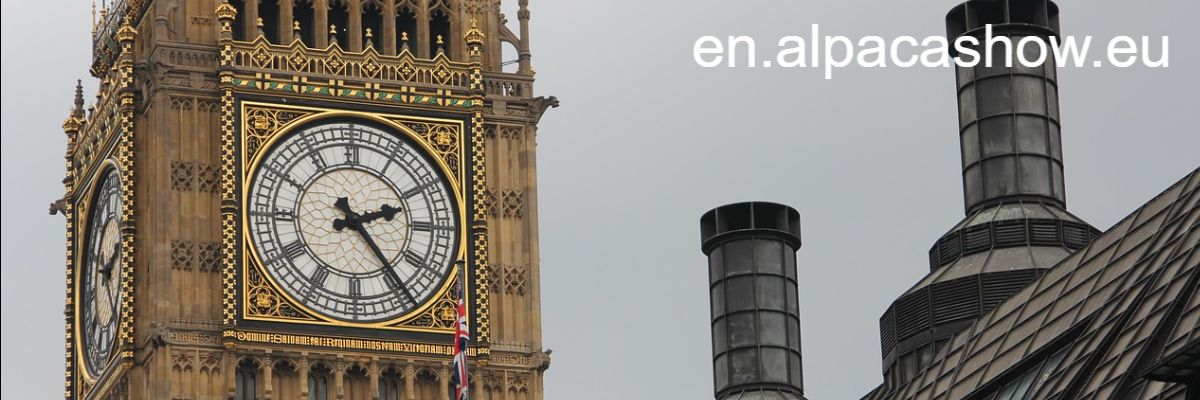en.alpacashow.eu